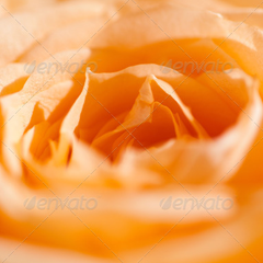 免费cc攻击测试