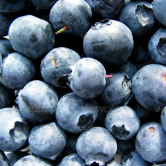 网络ddos监测分析工具