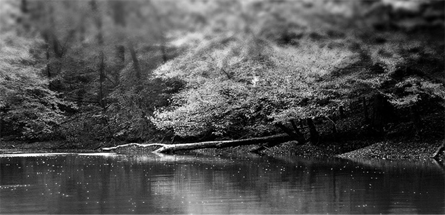 软件商城稳定的网站攻击工具手机版