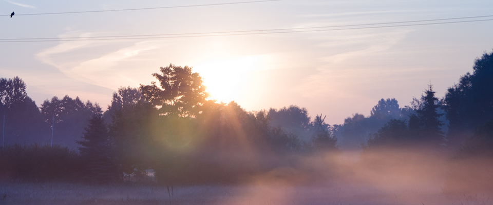 点卡中心安全的在线ddos网页端