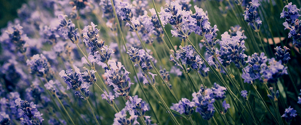 免费cc攻击测试